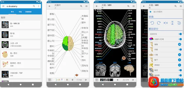 e-Anatomy(����ͼ������)