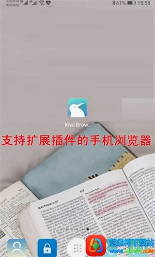 kiwibrowser(�ֻ������)