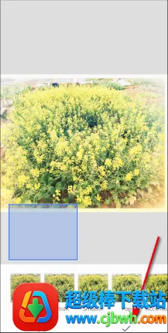 BetterSeed��׿���ֻ���